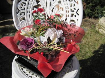 2009-6-17-0241