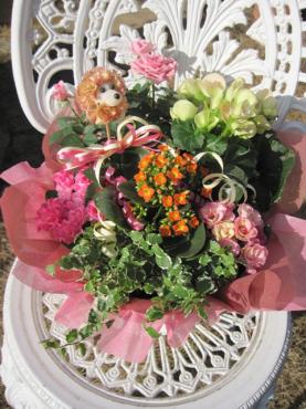 １／２５おまかせ花苗寄せかごアレンジメント｜「フラワーパーク　ヨシモト」　（和歌山県和歌山市の花キューピット加盟店 花屋）のブログ