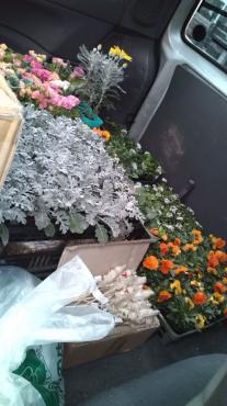 20100214102128