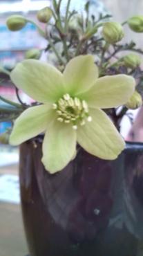 20100305111040