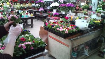 20100305161546