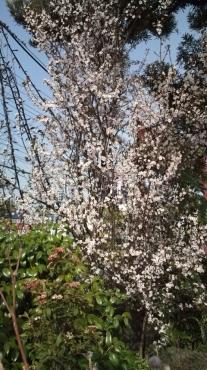 20100314152458