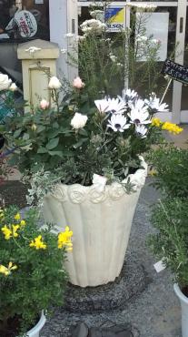 20100322162158