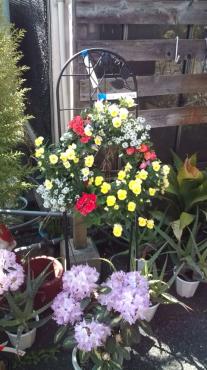 20100404145311