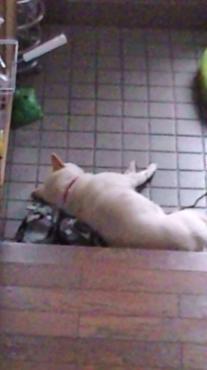 20100412085624