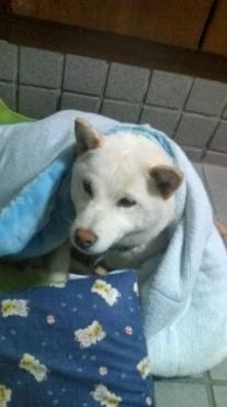 20100416195815