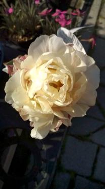20100417154300