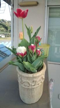 20100418075116