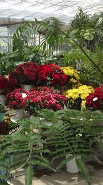 20100508111052