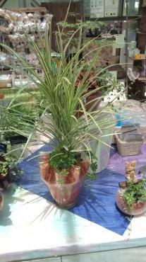 20100530121726
