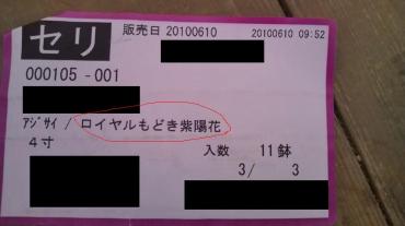 20100611090302