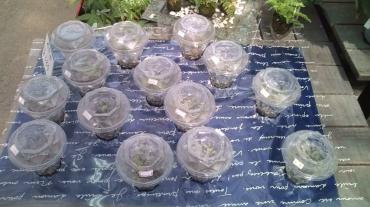 20100611150001