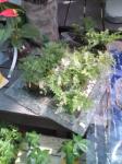 20100611150104