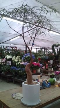 20100625143316