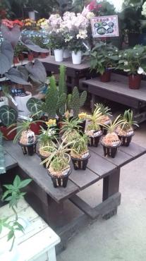 201006271421101