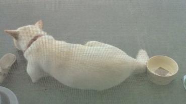 20100708074906