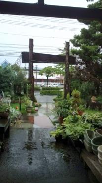201007091427501