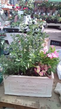 ときどき、あります｜「フラワーパーク　ヨシモト」　（和歌山県和歌山市の花キューピット加盟店 花屋）のブログ