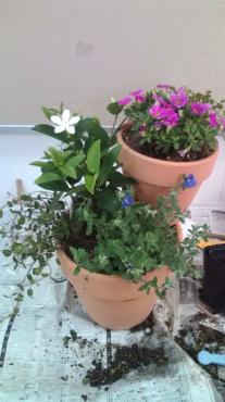 寄せ植え教室の花変えました｜「フラワーパーク　ヨシモト」　（和歌山県和歌山市の花キューピット加盟店 花屋）のブログ