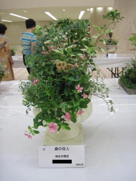 寄せ植えのコンテストに出しました｜「フラワーパーク　ヨシモト」　（和歌山県和歌山市の花キューピット加盟店 花屋）のブログ