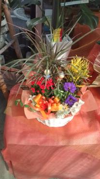 敬老のものとハロウィンのもの｜「フラワーパーク　ヨシモト」　（和歌山県和歌山市の花キューピット加盟店 花屋）のブログ