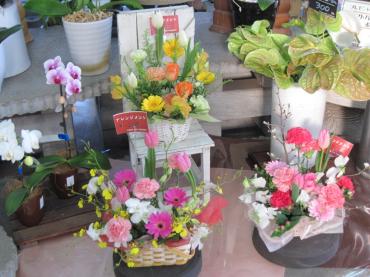 うららかな日ですので｜「フラワーパーク　ヨシモト」　（和歌山県和歌山市の花キューピット加盟店 花屋）のブログ