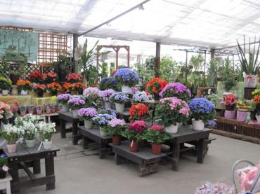 恐怖の昼休み｜「フラワーパーク　ヨシモト」　（和歌山県和歌山市の花キューピット加盟店 花屋）のブログ