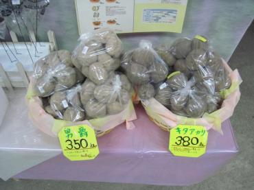 ジャガイモはいりました｜「フラワーパーク　ヨシモト」　（和歌山県和歌山市の花キューピット加盟店 花屋）のブログ