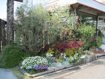 春ですね｜「フラワーパーク　ヨシモト」　（和歌山県和歌山市の花キューピット加盟店 花屋）のブログ