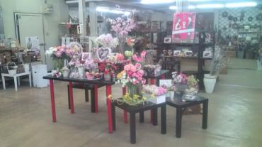 春景色｜「フラワーパーク　ヨシモト」　（和歌山県和歌山市の花キューピット加盟店 花屋）のブログ