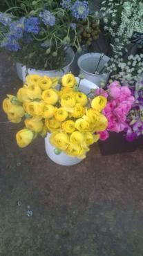 ぬくぬくのいちにち｜「フラワーパーク　ヨシモト」　（和歌山県和歌山市の花キューピット加盟店 花屋）のブログ