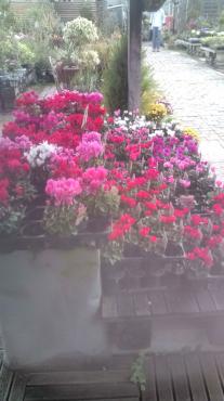 20121006141852