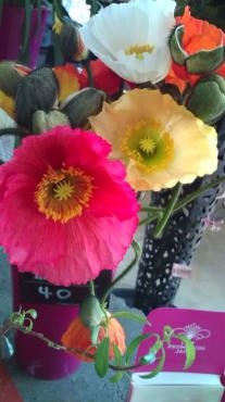 春の切花 花屋ブログ 和歌山県和歌山市の花屋 フラワーパーク ヨシモトにフラワーギフトはお任せください 当店は 安心と信頼の花キューピット加盟店です 花キューピットタウン