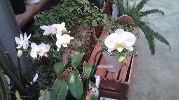 20130621141402