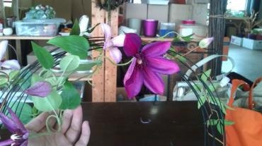 20130625105945