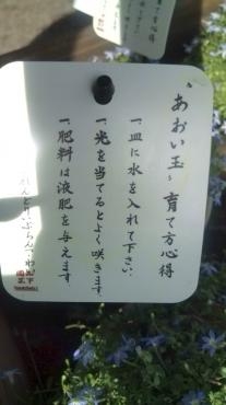 20130629161811