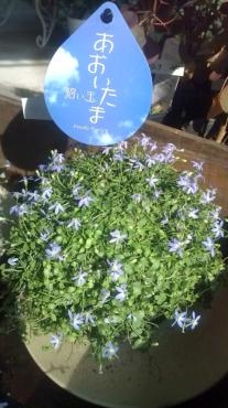 20130629161822