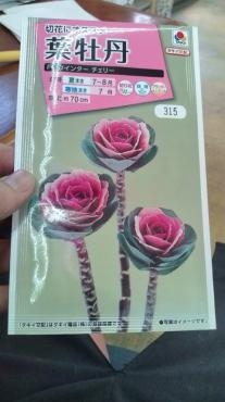 20130701152533