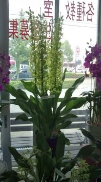 20130706130847