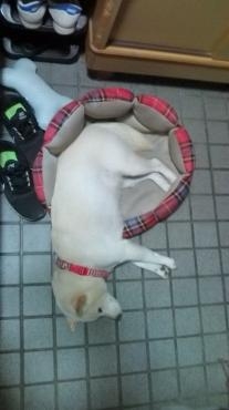 20130706225051