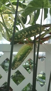 20130707132540