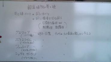 20130709101155