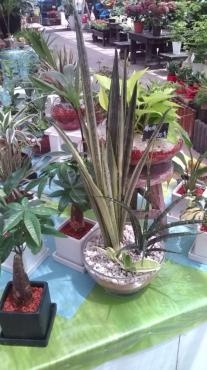 20130711132619