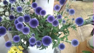 20130712150444