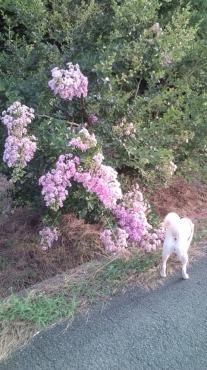 20130716180730