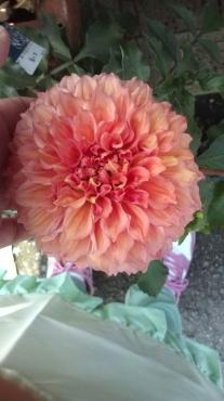 20130718134656