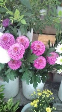 20130726150717