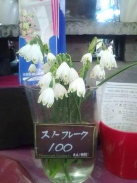 アジサイ ガーベラ クレマチス 春のお花を大公開 花屋ブログ 和歌山県和歌山市の花屋 フラワーパーク ヨシモトにフラワーギフトはお任せください 当店は 安心と信頼の花キューピット加盟店です 花キューピットタウン