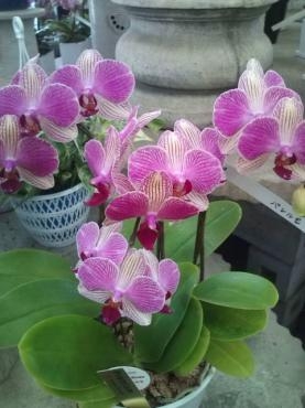 20140425131258