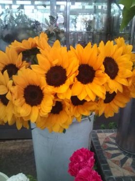 ヒマワリや新しい切り花が入りました 花屋ブログ 和歌山県和歌山市の花屋 フラワーパーク ヨシモトにフラワーギフトはお任せください 当店は 安心と信頼の花キューピット加盟店です 花キューピットタウン
